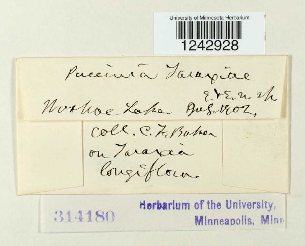 Puccinia taraxaci image