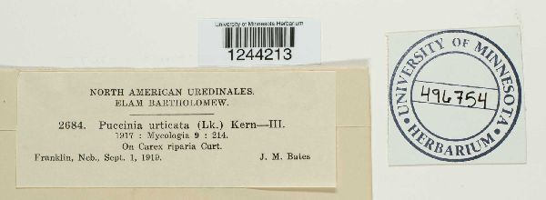 Puccinia urticae image