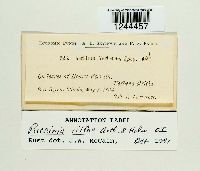 Puccinia vilfae image