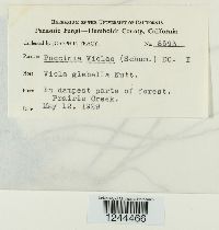 Image Associated With the Occurrence