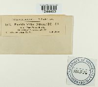 Image Associated With the Occurrence