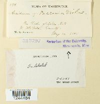 Image Associated With the Occurrence