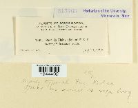 Image Associated With the Occurrence