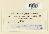 Image Associated With the Occurrence