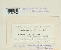 Image Associated With the Occurrence