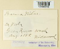 Image Associated With the Occurrence