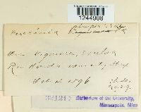 Puccinia abrupta image