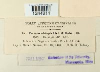 Puccinia abrupta image