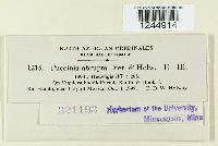 Puccinia abrupta image