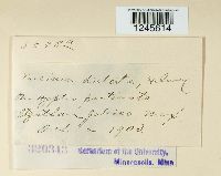 Puccinia distorta image