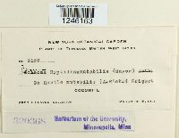 Image Associated With the Occurrence