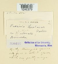 Image Associated With the Occurrence