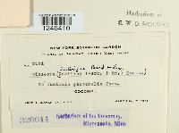 Image Associated With the Occurrence