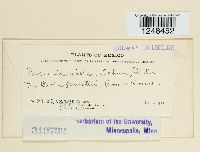 Puccinia violae image