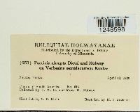 Puccinia abrupta image