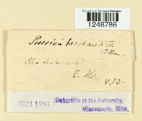 Image Associated With the Occurrence