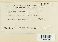 Image Associated With the Occurrence