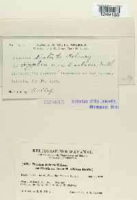 Image Associated With the Occurrence