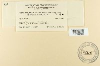 Image Associated With the Occurrence