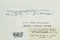 Image Associated With the Occurrence