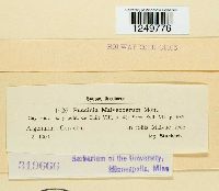 Image Associated With the Occurrence