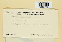 Image Associated With the Occurrence