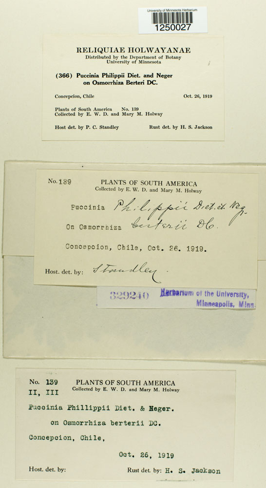 Puccinia philippii image