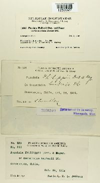 Image Associated With the Occurrence