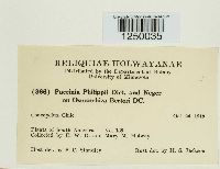 Puccinia philippii image