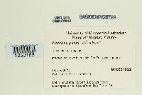 Image Associated With the Occurrence