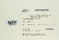 Image Associated With the Occurrence