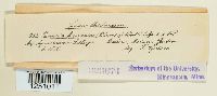 thumbnail image of current specimen