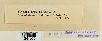 thumbnail image of current specimen