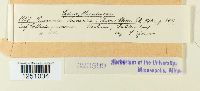 Thumbnail image of current specimen