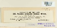 thumbnail image of current specimen
