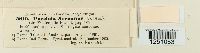 thumbnail image of current specimen