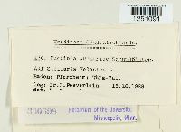 Thumbnail image of current specimen