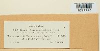 thumbnail image of current specimen