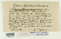 Puccinia caricis image