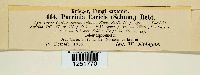 Puccinia caricis image
