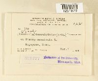 Thumbnail image of current specimen