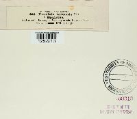 Media resource of Puccinia coronata