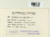 Puccinia dioicae image