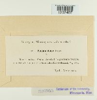 Puccinia dioicae image