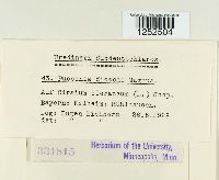 Puccinia dioicae image