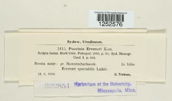 Puccinia eremuri image