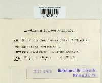 Puccinia gentianae image