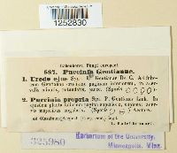 Puccinia gentianae image