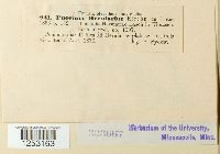 thumbnail image of current specimen