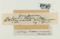 thumbnail image of current specimen